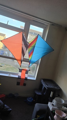 Large single line kite - kite, with