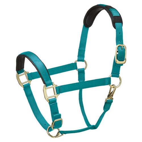 Legacy equestrian hcxm premium - equestrian,