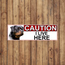 Rottweiler CAUTION I LIVE HERE