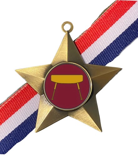 Gymnastics pommel horse - pommel, award
