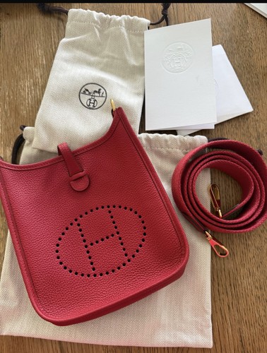 Authenticated hermes mini - authenticated,