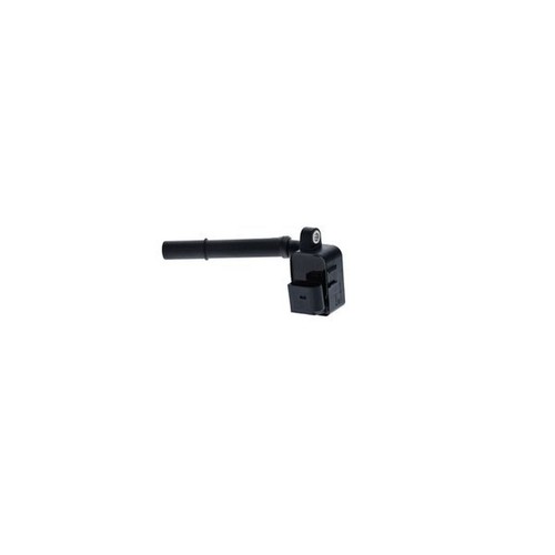 Ignition coil for - ignition,