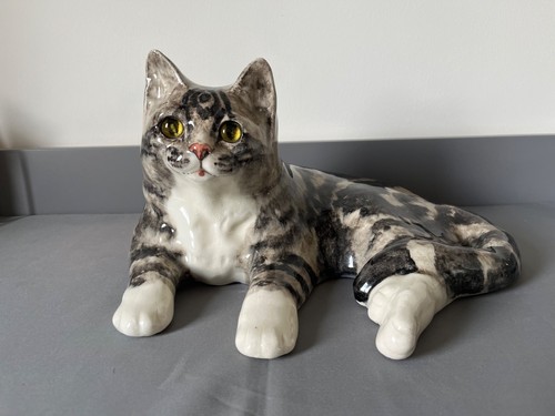 Beautiful winstanley tabby cat - beautiful,