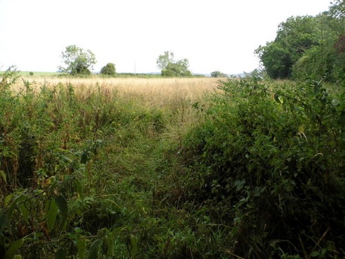 Photo 6x4 field - 6x4, south