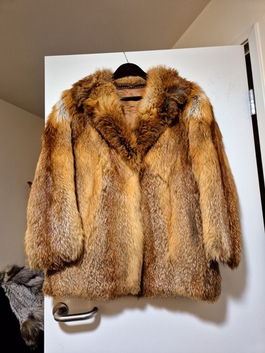 Real red fox - real, coat