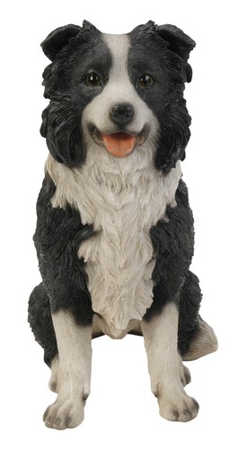 Sitting sheepdog highly - sheepdog,