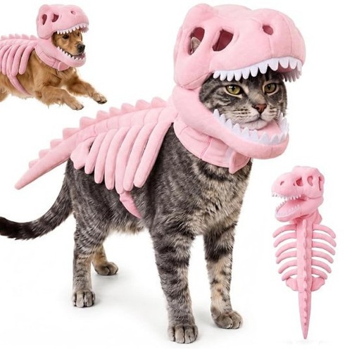 Dinosaur skeleton costume - skeleton,