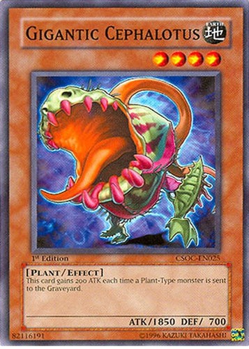 2008 yugioh csoc gigantic - 2008,
