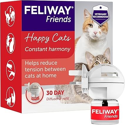 Feliway friends day - feliway,