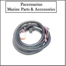 Polaris Jetski PWC MFD Harness