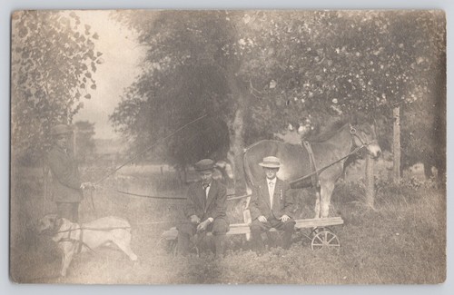 Postcard rppc boys with dog - with, in