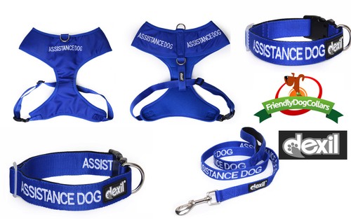 Assistance dog collar - assistance,