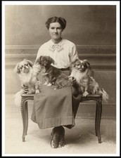 TIBETAN SPANIEL LADY DOGS