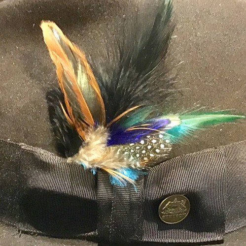Decorative natural feathers