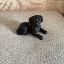 Black Labrador Puppy Dog  Cute