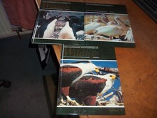 The Illustrated Encyclopedia