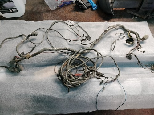 Mk1 escort wiring looms - escort,
