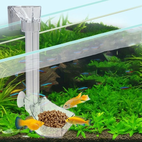 Transparent acrylic fish tank - transparent,
