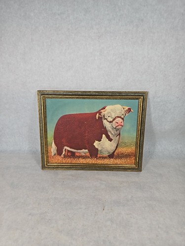 Vintage modern hereford bull - a,
