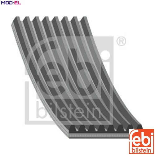 Vribbed belt 29054 for - vribbed,