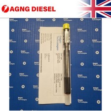 Reconditioned Delphi Injector