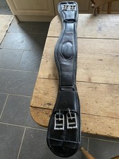 Albion. Black  Dressage