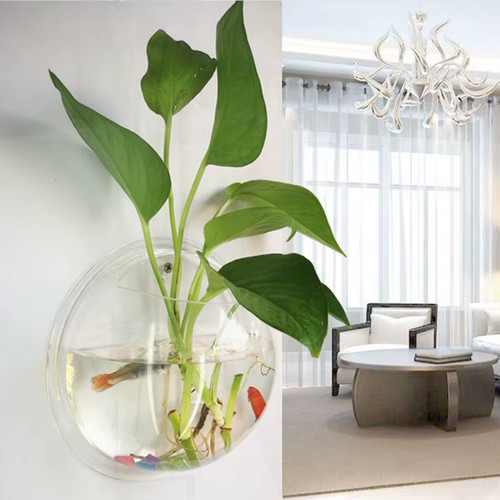 Wall mounted acrylic fish tank - fish,