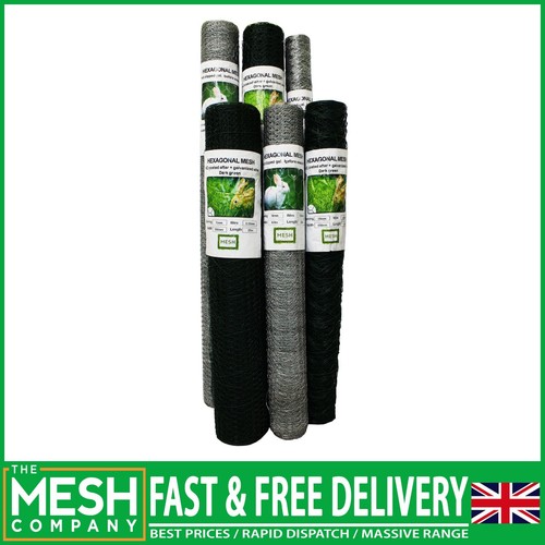 The mesh company chicken - the,