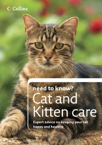 Collins need know cat - collins,