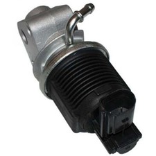 Exhaust Gas Recirculation