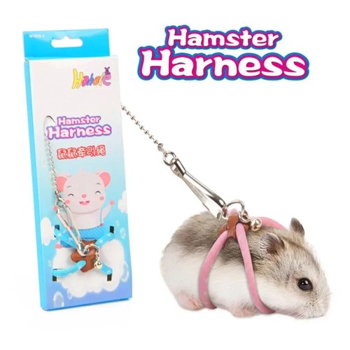 Safety buckle guinea - buckle, pig