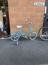 ✅ Retro Blue Raleigh Kids