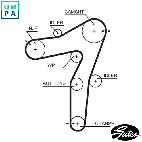 Timing belt 5663xs for - 5663xs,