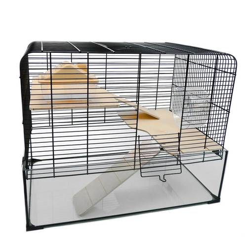 Little friends hamster gerbil - friends,