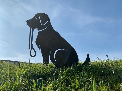 Labrador retriever rusty metal - retriever,