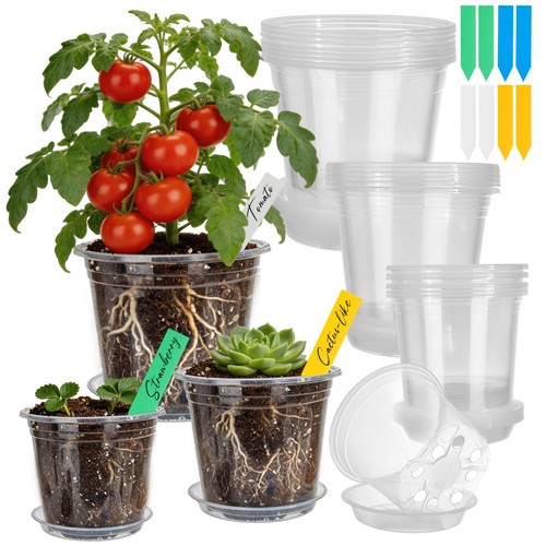Clear nursery pots pack - clear,