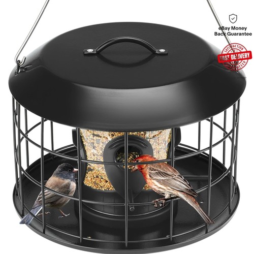 Squirrel proof mesh - squirrel,