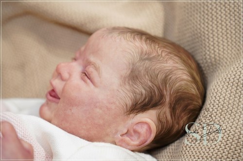 Studio doll baby girl - , reborn