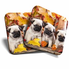 2 x Coasters - Pug Puppies