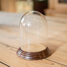 Small Antique Display Dome