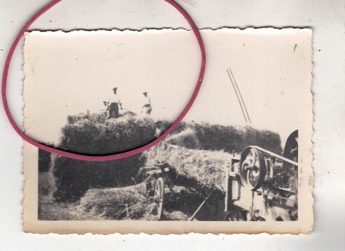 Photo tractor - photo,