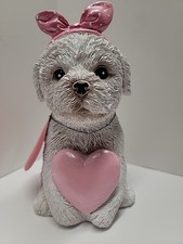 Valentines Maltese Bichon