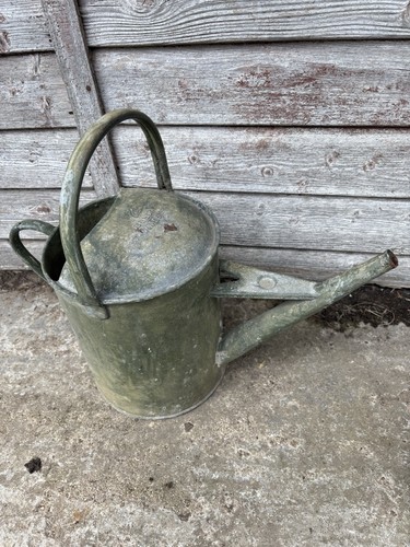 Galvanised watering can - galvanised,