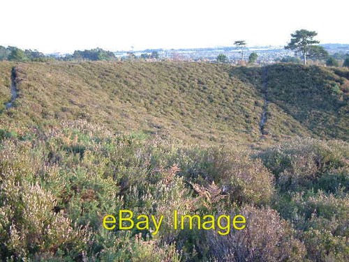 Photo 6x4 canford heath - 6x4,