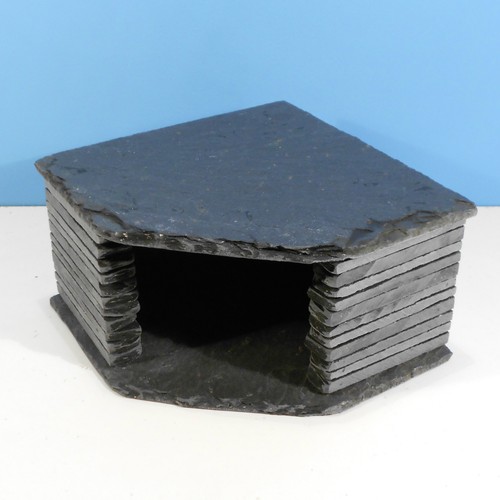 New corner aquarium natural - new,