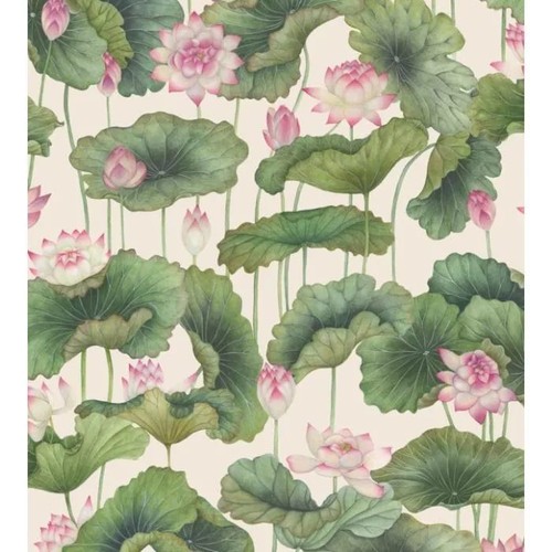 Cole son shinrin - son, lily