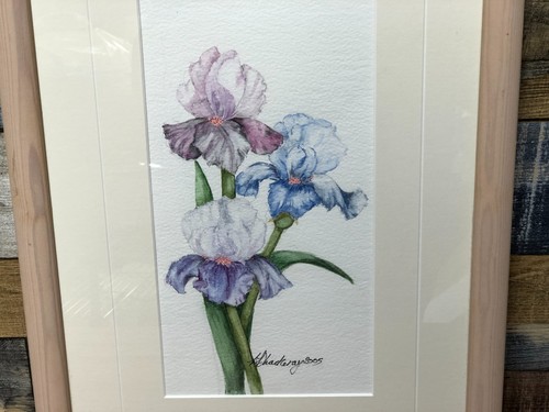 Signed stunning watercolour - signed,