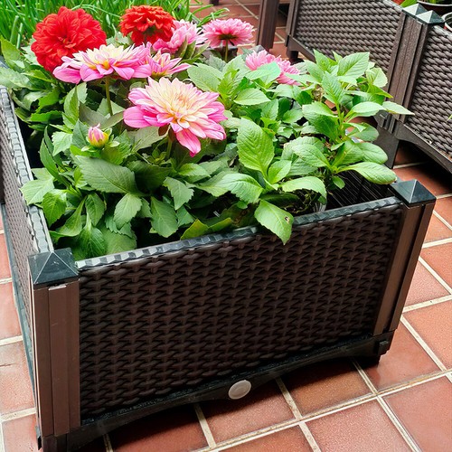 3ft trough plant - trough,
