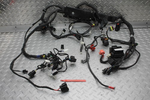 2024 aprilia rsv4 1100 main - aprilia,