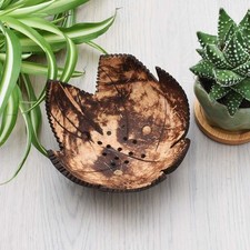 Peace With The Wild Coconut